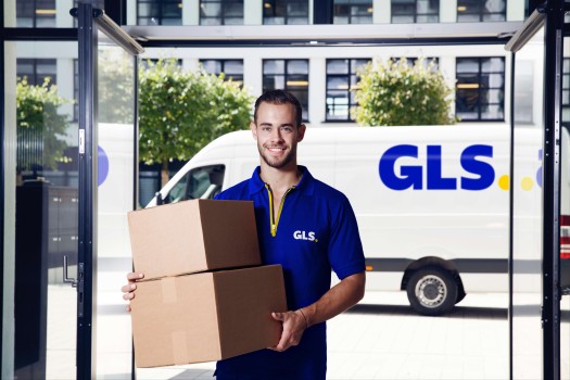 deliveryman with the van in the background